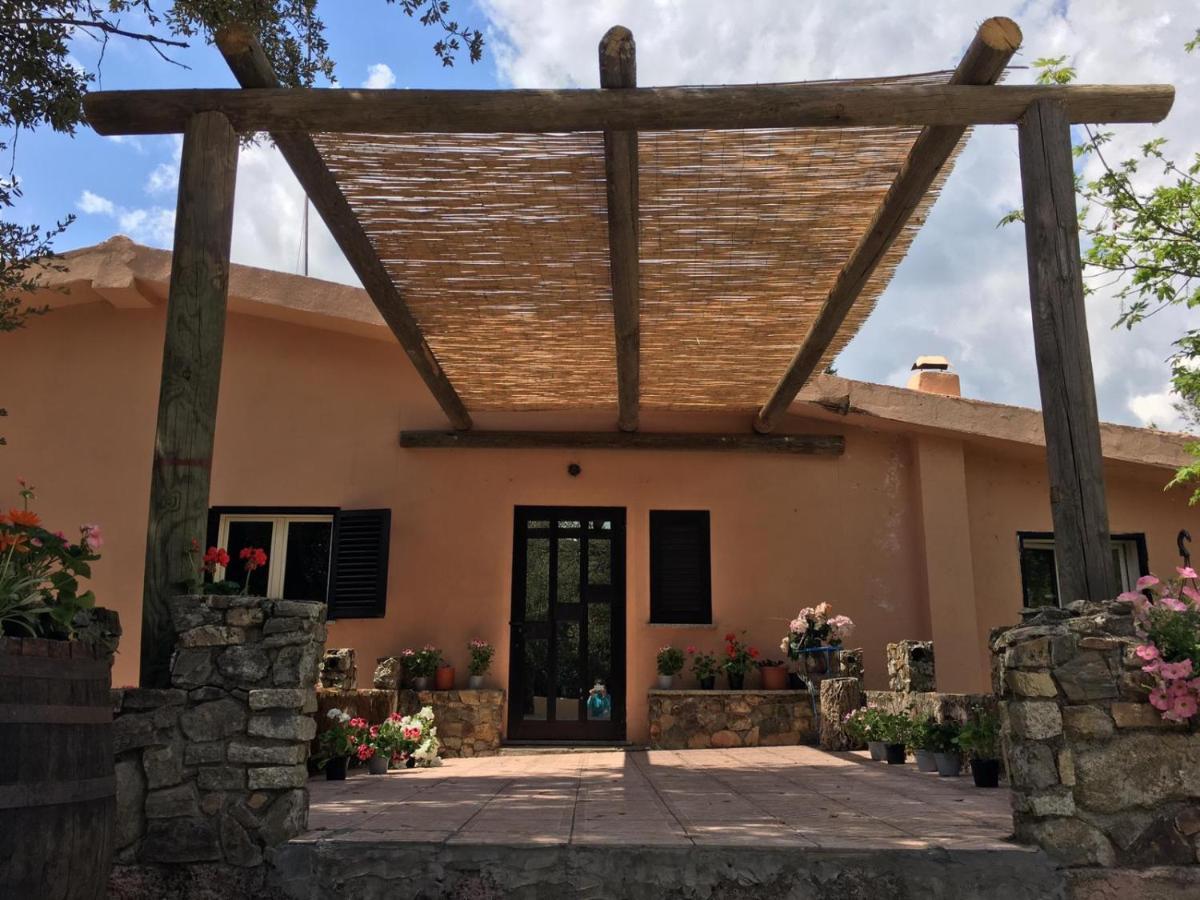 Azienda Agrituristica S'Argalasi - B&B - Affittacamere Loc S'Argalasi Austis Dış mekan fotoğraf