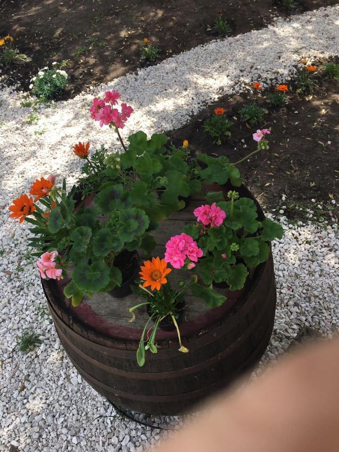 Azienda Agrituristica S'Argalasi - B&B - Affittacamere Loc S'Argalasi Austis Dış mekan fotoğraf