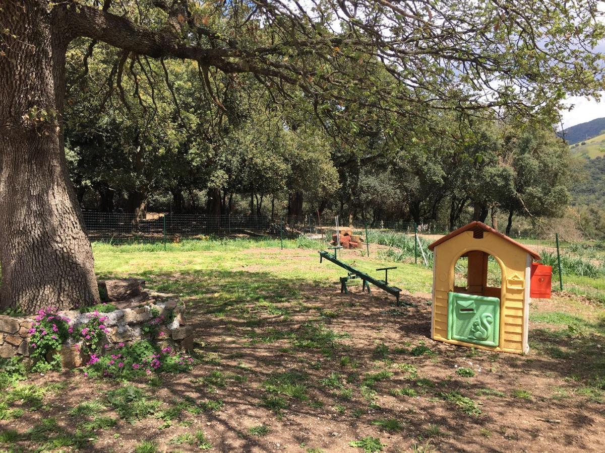 Azienda Agrituristica S'Argalasi - B&B - Affittacamere Loc S'Argalasi Austis Dış mekan fotoğraf