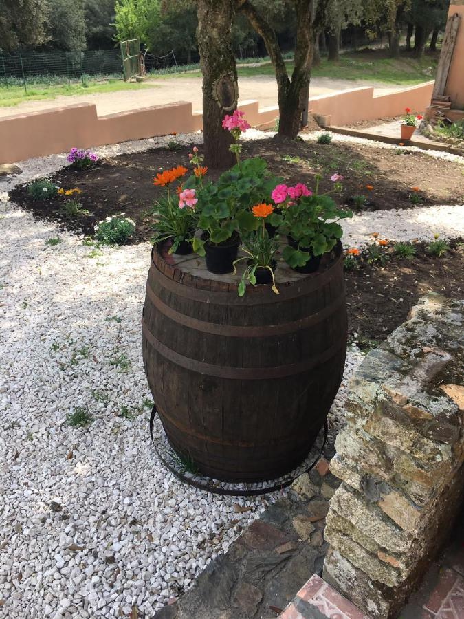 Azienda Agrituristica S'Argalasi - B&B - Affittacamere Loc S'Argalasi Austis Dış mekan fotoğraf