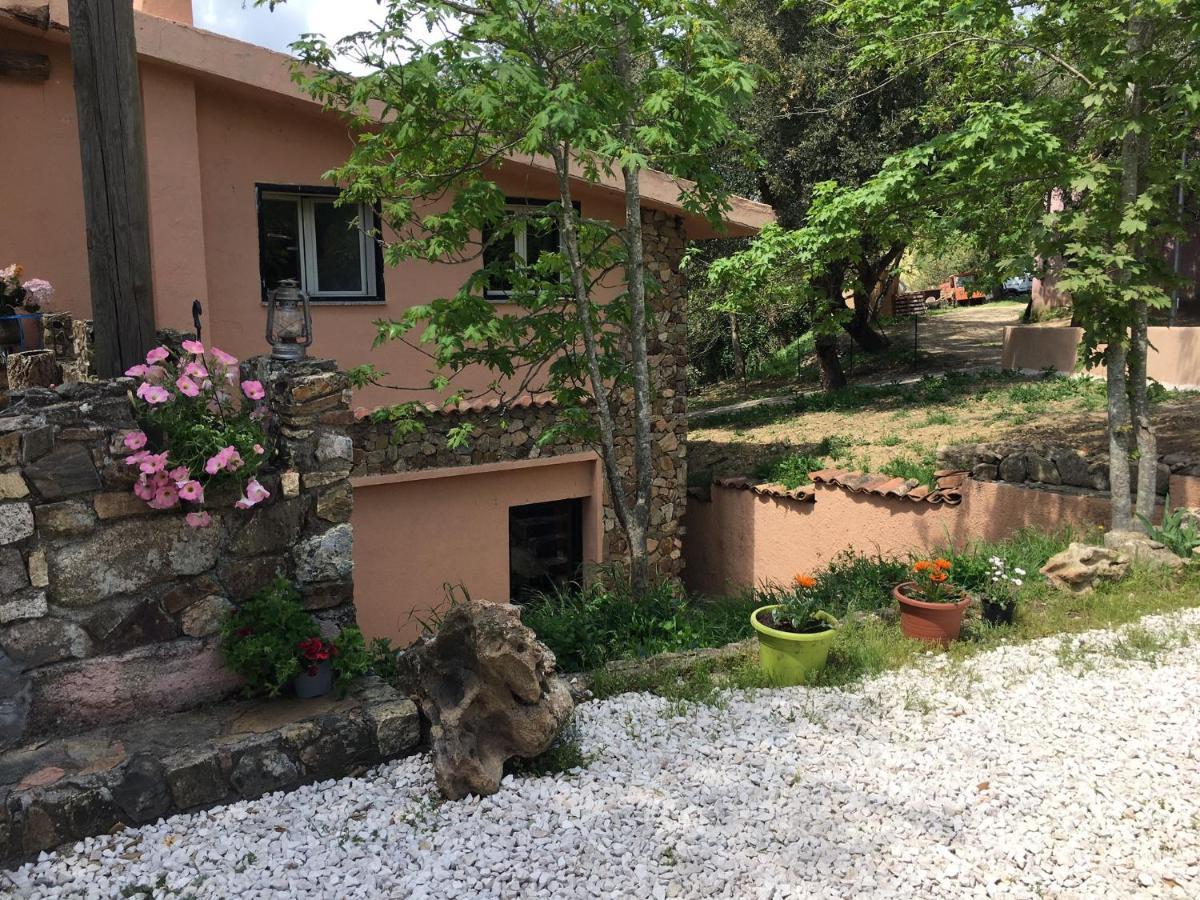 Azienda Agrituristica S'Argalasi - B&B - Affittacamere Loc S'Argalasi Austis Dış mekan fotoğraf