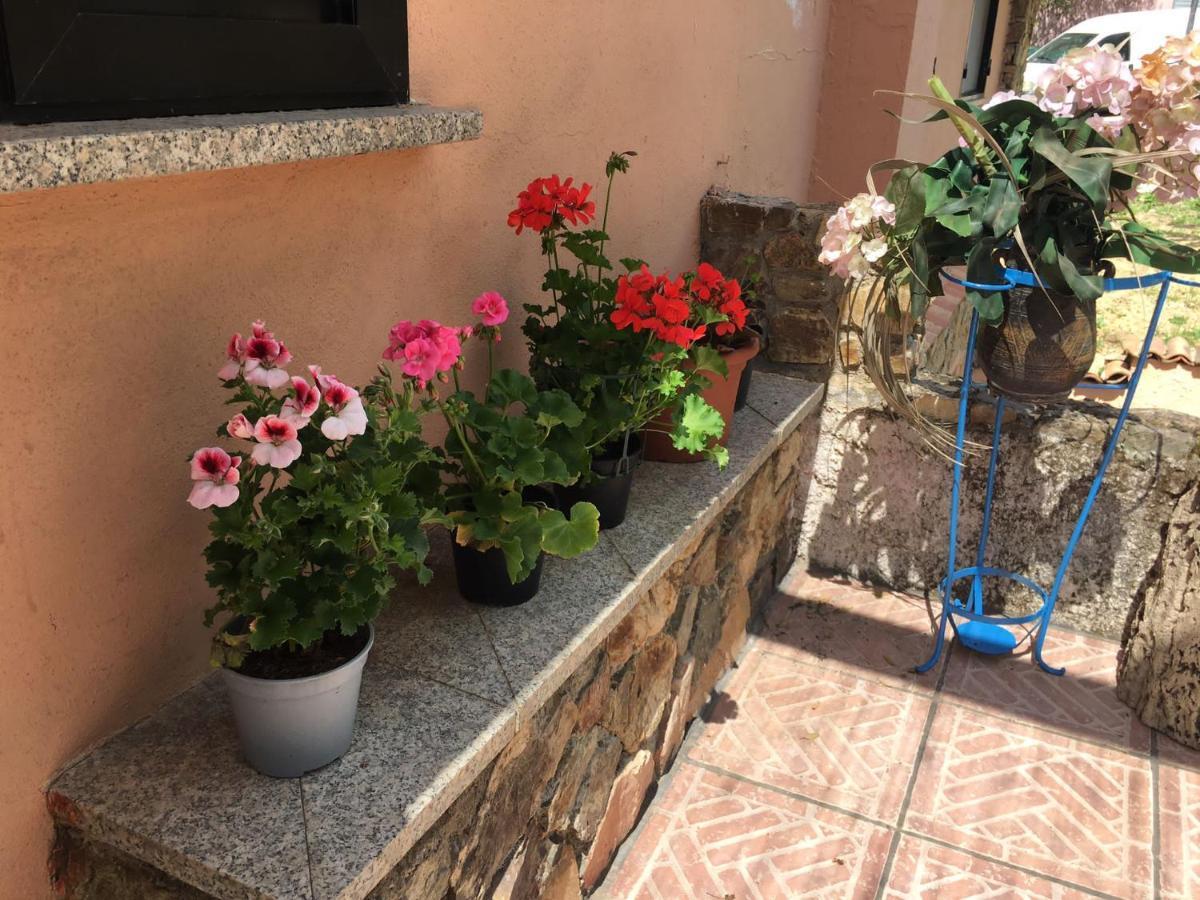 Azienda Agrituristica S'Argalasi - B&B - Affittacamere Loc S'Argalasi Austis Dış mekan fotoğraf
