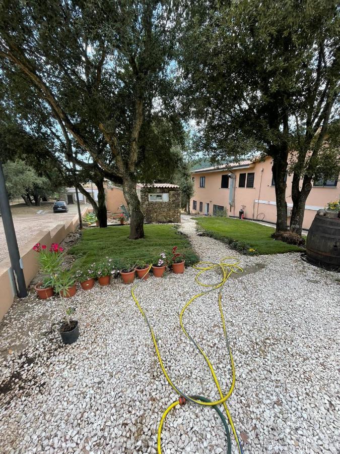 Azienda Agrituristica S'Argalasi - B&B - Affittacamere Loc S'Argalasi Austis Dış mekan fotoğraf